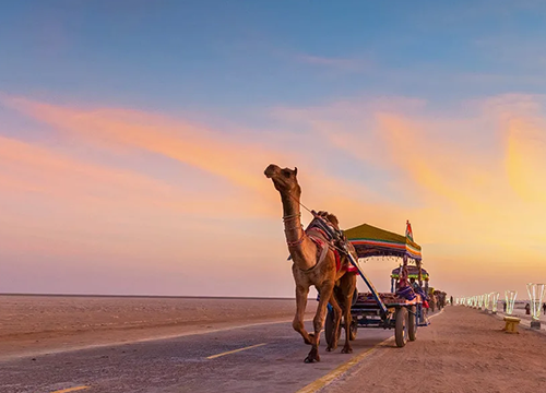 Bhuj Kutch Dholavira Mandvi Package Ex Ahmedabad