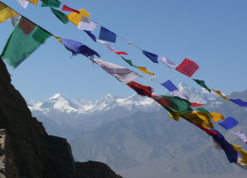 Discover Ladakh
